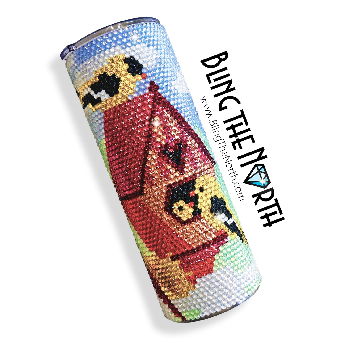 FEATHERED FRIENDS Rhinestone Pattern Template | SS16 4mm - 24oz Plump Straight Tumbler Design | PNG for Sublimation or Vinyl